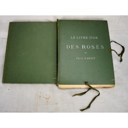 Le Livre d'or des Roses: Iconographie: Histoire et Culture de la Rose